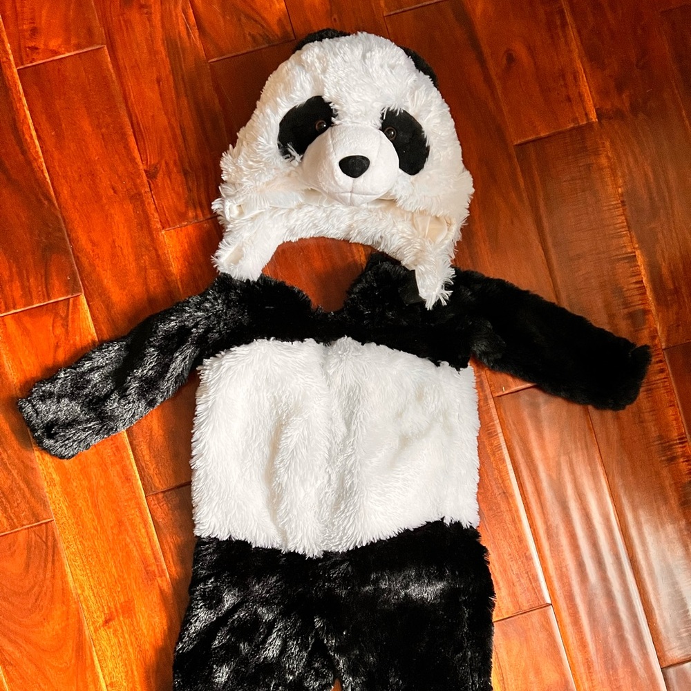 Pottery Barn Kids Panda costume